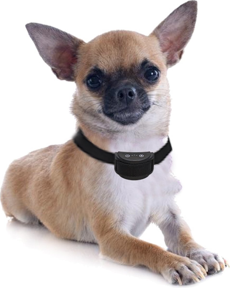 Anti blafband met trillen en geluid speciaal voor kleine honden (1,5-10 kg) OHS oplaadbaar watervast vergelijken en vandaag bestellen |
